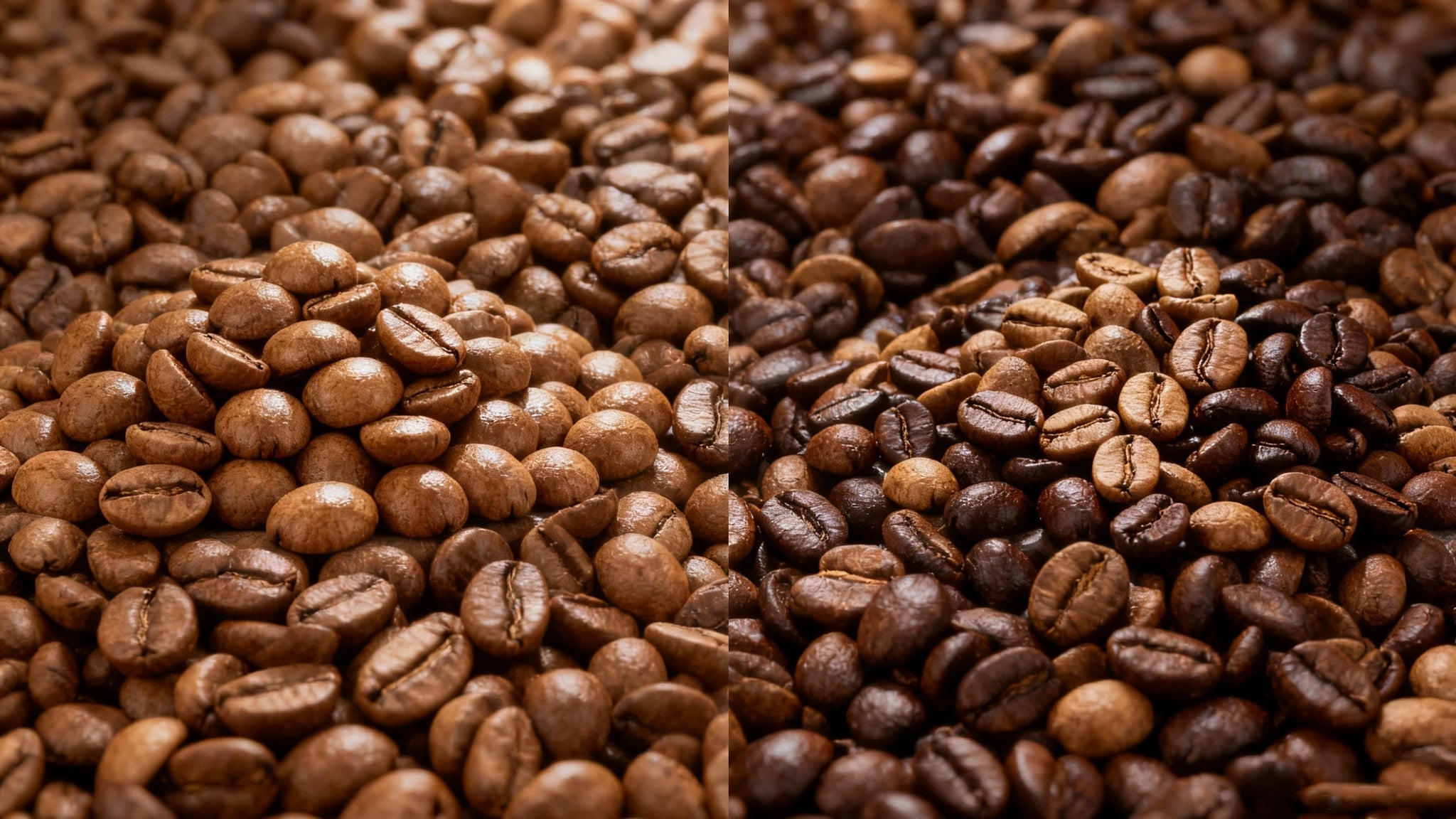 Single Origin vs. Blend:What's the Difference and Why Should You Care?