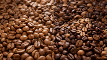 Single Origin vs. Blend:What's the Difference and Why Should You Care?