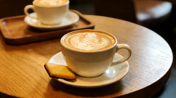 The Science of Coffee Creamers: Plant-Based vs. Dairy – Which Affects Flavor More?