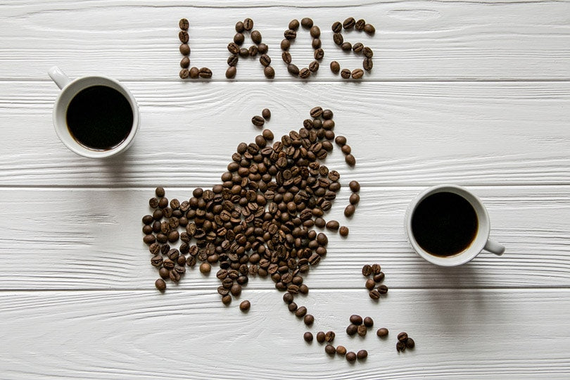 Laotian coffee history
