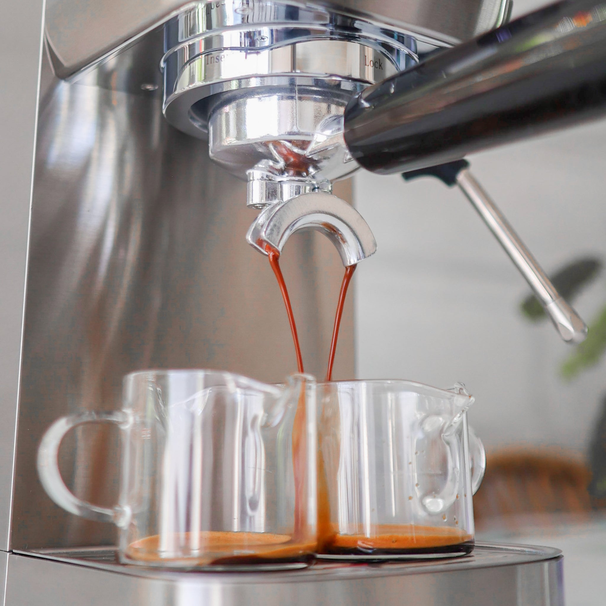 Wirsh 20 Bar Espresso Machine with Plastic Free Portafitler and Steame